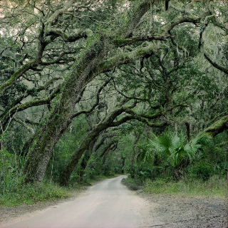Amelia Island, 2010