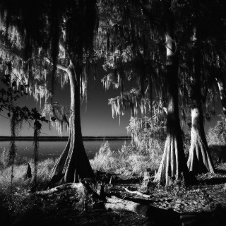 Day for Night, Gainesville 2012