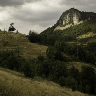 Divine, Mostovo 2015