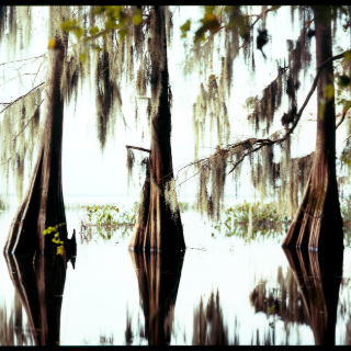 Floating Islands, Florida 2010
