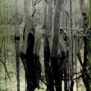 O'Leno, Florida, 2010 [Take 1]