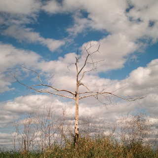 Somewhere in Florida, 2015